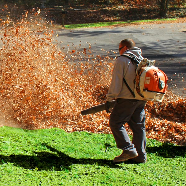 Leaf Removal in Eagan