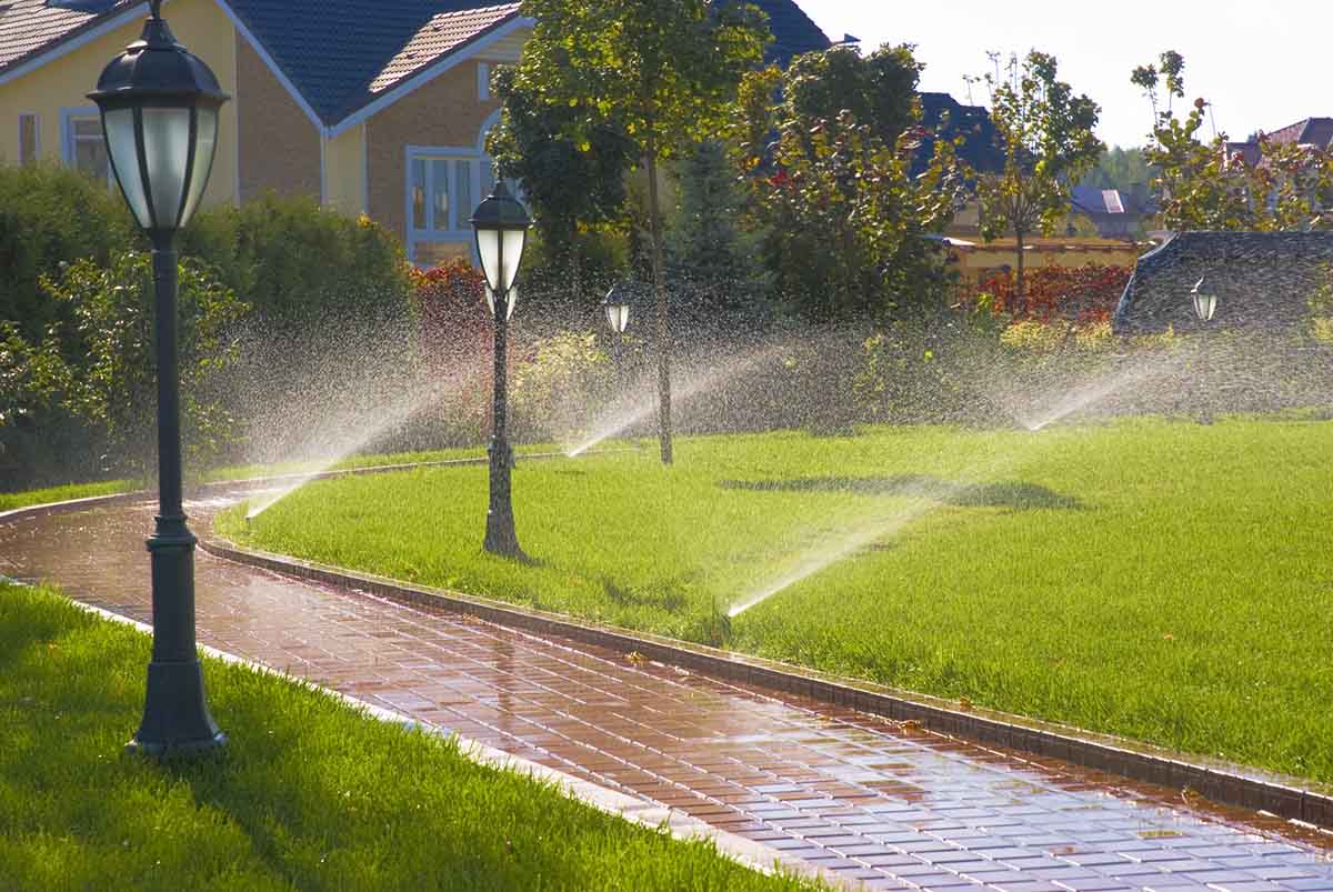 View leaf removal project in Eagan